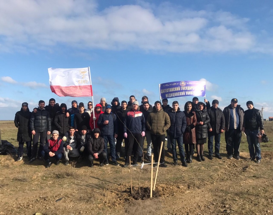 Акция "Зеленые километры"