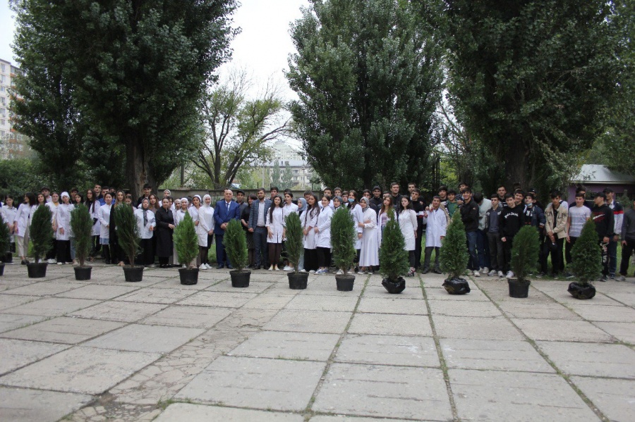 Аллея первокурсников