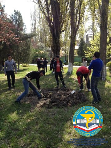Колледж принял участие в городском субботнике