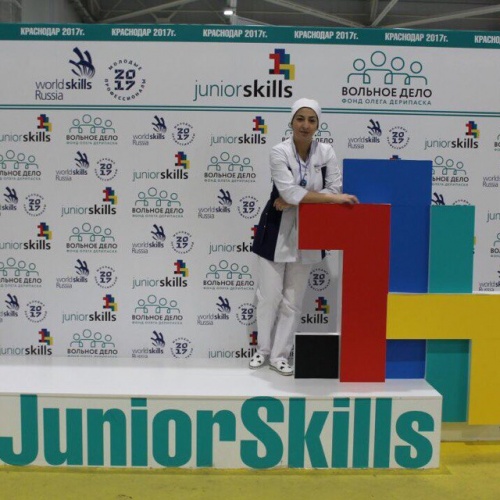 Финал V Национального чемпионата «Молодые профессионалы» (WorldSkills Russia) 2017