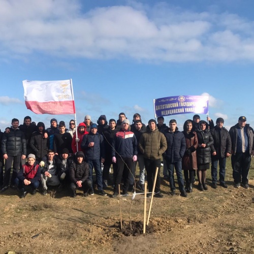 Акция "Зеленые километры"