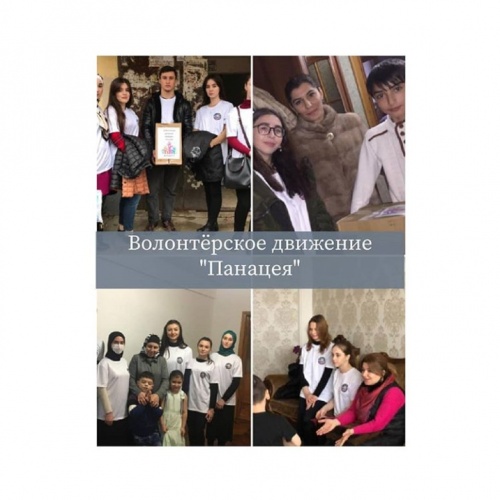 Волонтерское движение «Панацея»